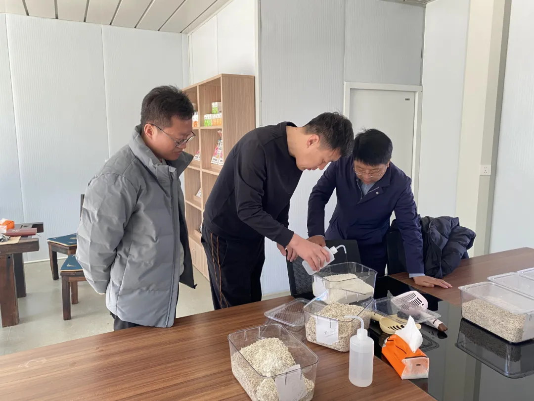 空间环境异味处理剂技术应用